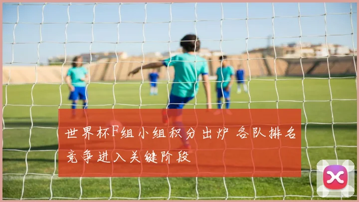 世界杯F组小组积分出炉 各队排名竞争进入关键阶段