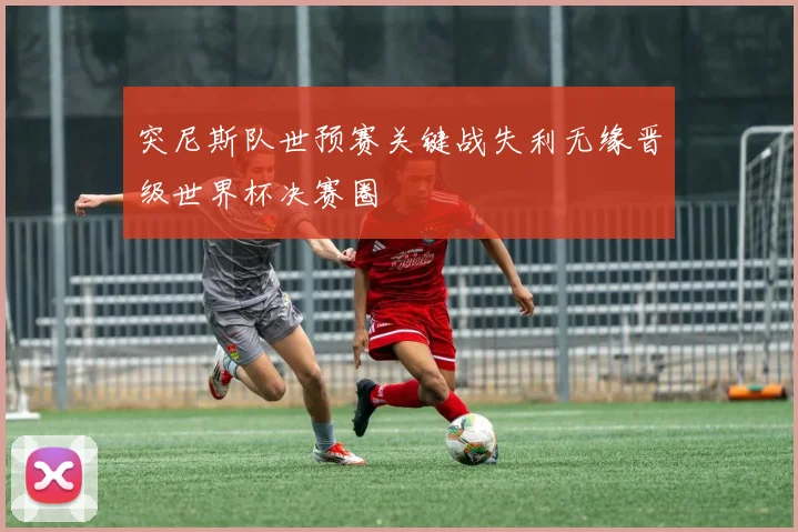 突尼斯队世预赛关键战失利无缘晋级世界杯决赛圈