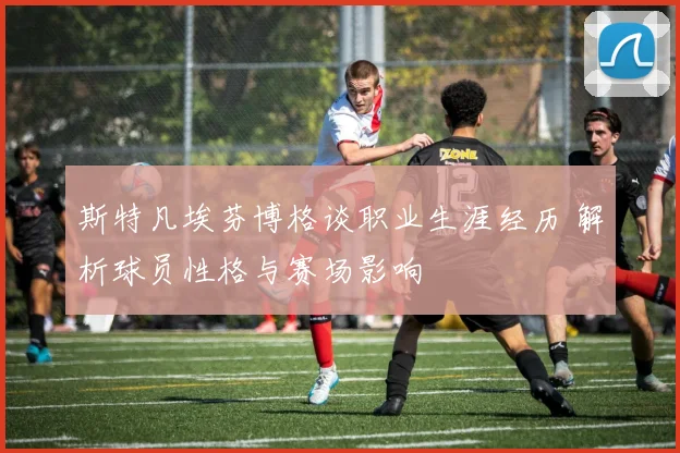 斯特凡埃芬博格谈职业生涯经历 解析球员性格与赛场影响