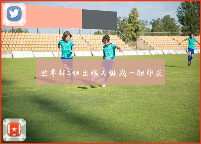 世界杯E组出线关键战一触即发