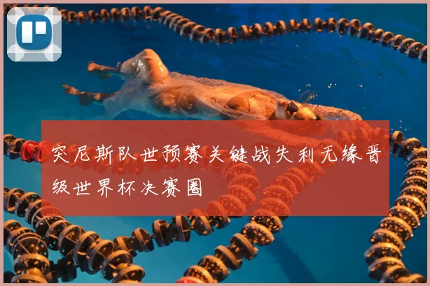 突尼斯队世预赛关键战失利无缘晋级世界杯决赛圈