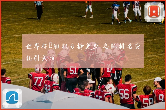 世界杯E组积分榜更新 各队排名变化引关注