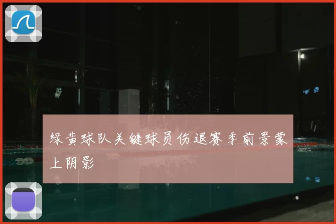 绿黄球队关键球员伤退赛季前景蒙上阴影