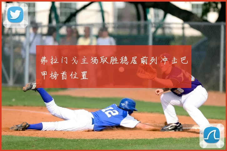 弗拉门戈主场取胜稳居前列冲击巴甲榜首位置