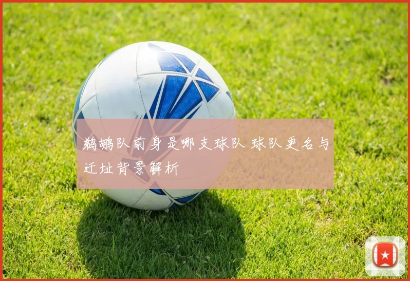 鹈鹕队前身是哪支球队 球队更名与迁址背景解析