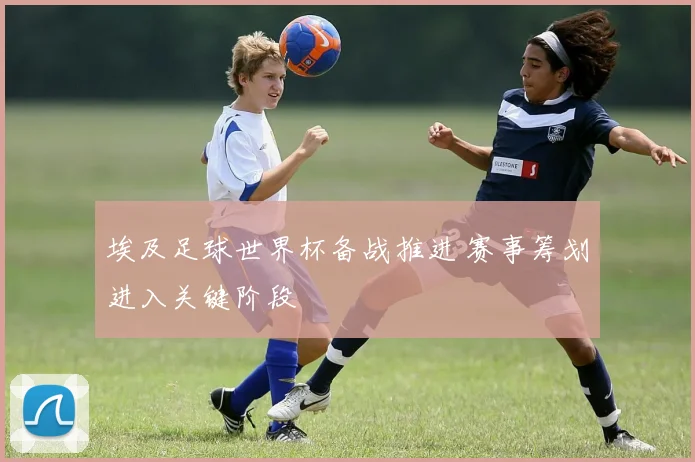埃及足球世界杯备战推进 赛事筹划进入关键阶段