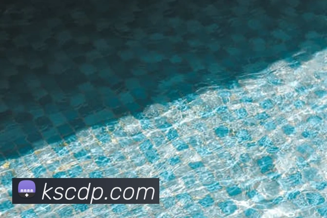 开元体育(中国)官方网站 - 开元 SPORTS平台生态图